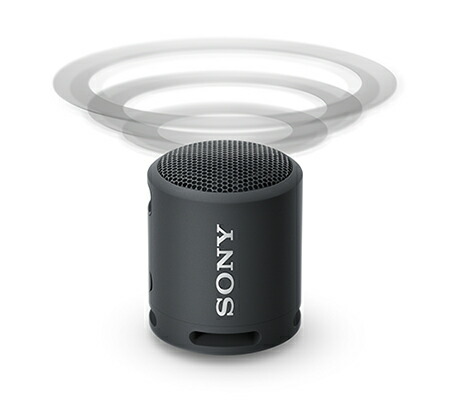 楽天市場】【ポイント5倍＆エントリー必須】SONY ワイヤレスポータブル