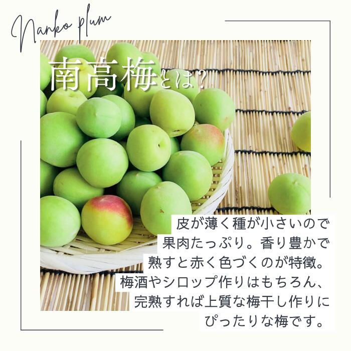 楽天市場】【2026年分◎予約割あり】秀品 完熟 南高梅 3kg 5kg 10kg (+