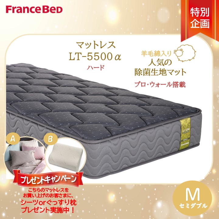 楽天市場】プレゼント付き【搬入設置無料対応商品】フランスベッド LT