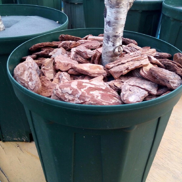 楽天市場】【送料無料】バークチップ 50L ／ガーデニングバーク