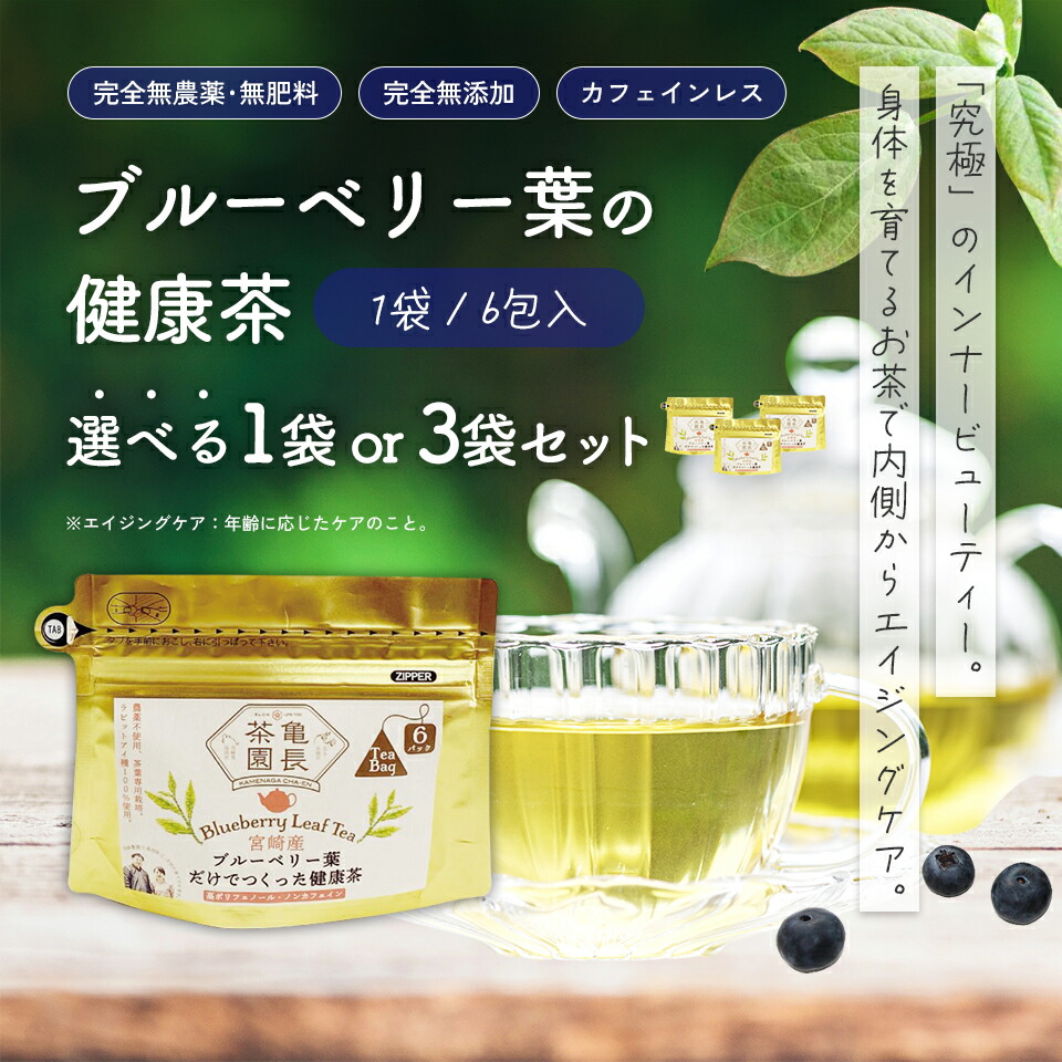楽天市場】フォーデイズ ダイエット茶 45g（1.5g×30袋) 賞味期限：2027