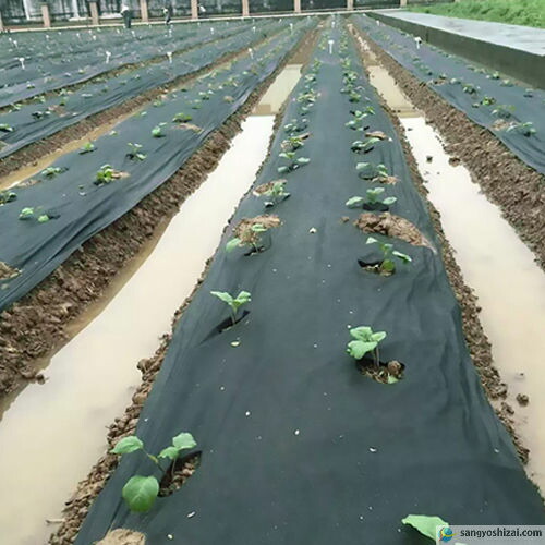 楽天市場】不織布 防草シート ポリエステル PET 密度100G 幅1m×50m UV