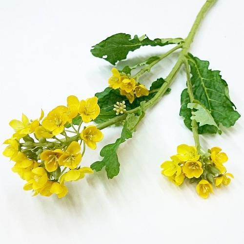 imgrc0069620941.jpg?fitin=272:272