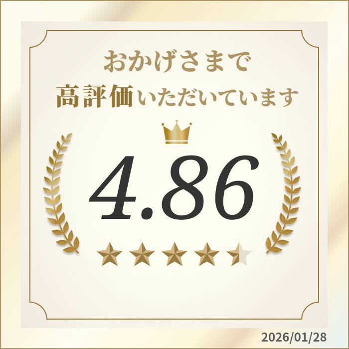楽天市場】【エントリーでP5倍】【公式】高圧洗浄機 交換用部品 フック
