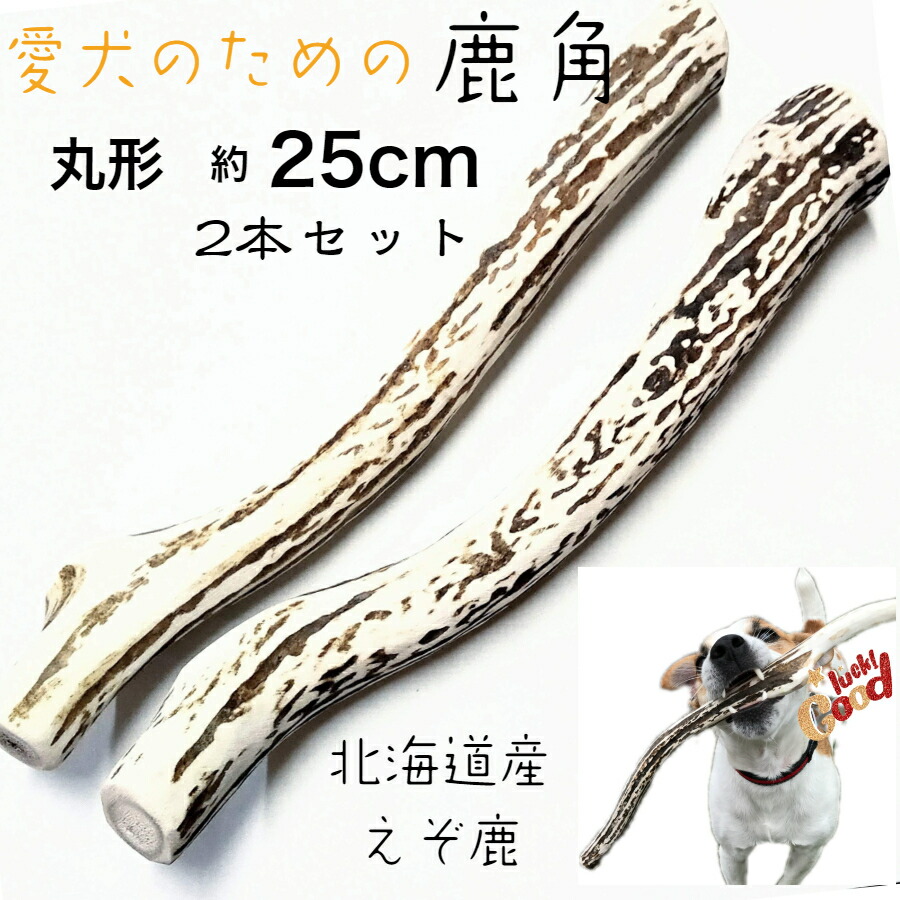 楽天市場】鹿の角 犬 25cm 丸型 2本セット 鹿角 長持ち 国産 北海道