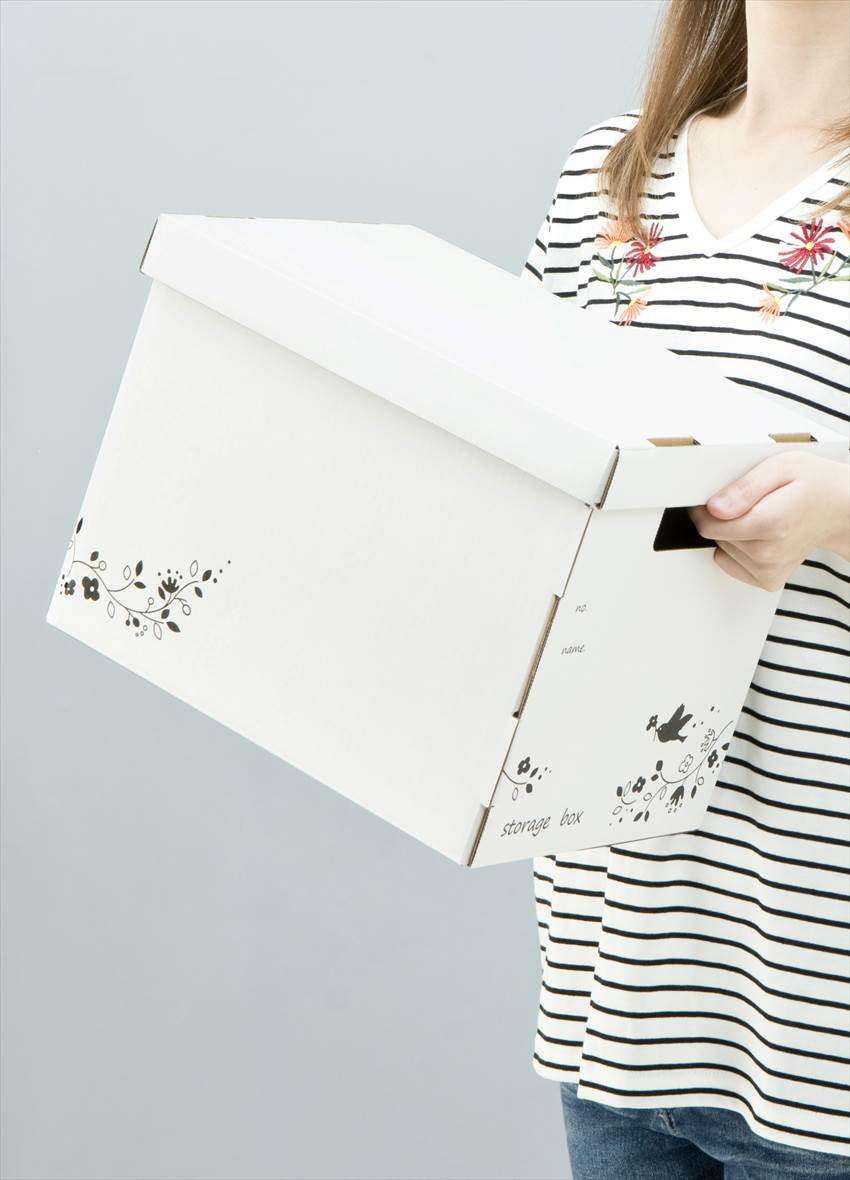 楽天市場】【楽天スーパーSALE 10%OFF】収納ボックス 収納ケース 衣装