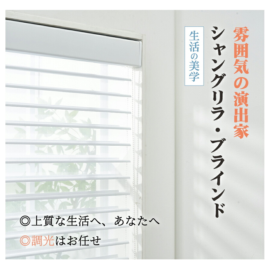 楽天市場】【先着順25%OFFクーポン+P7倍】【抽選で最大100%バック