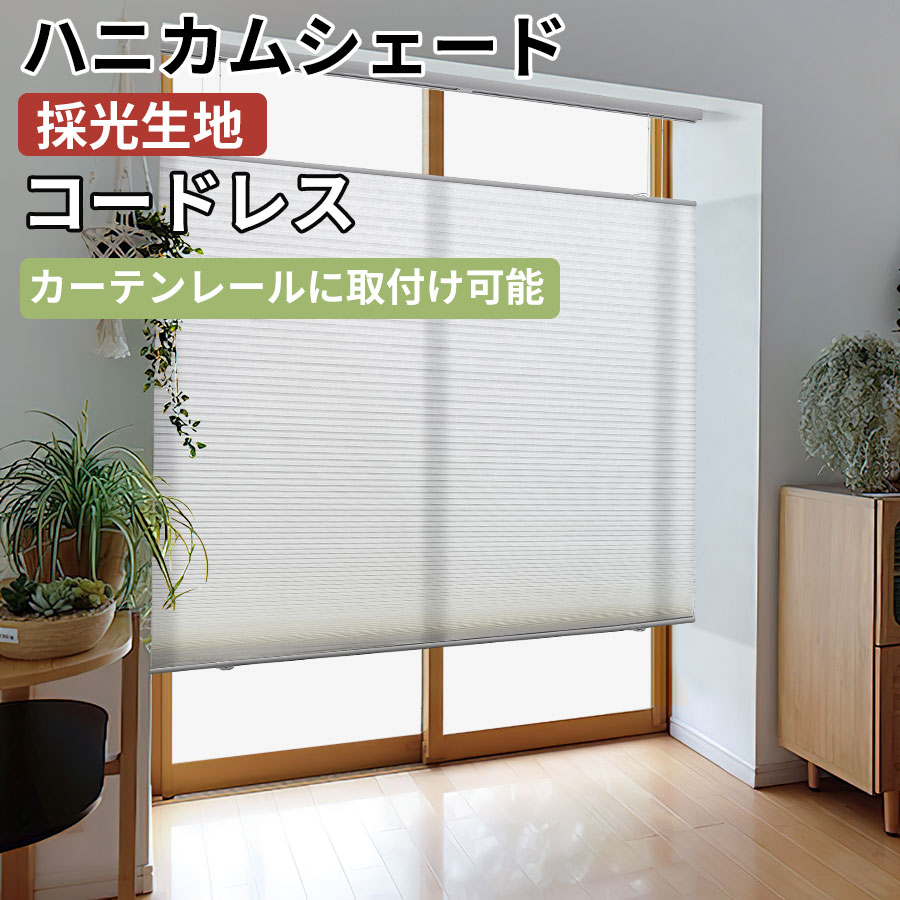 楽天市場】＼抽選で最大100%バック／【SS先着25%OFFクーポン+P7倍