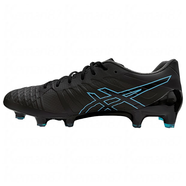 楽天市場】【10/30までポイント5倍】DSライト ACROS ブラック