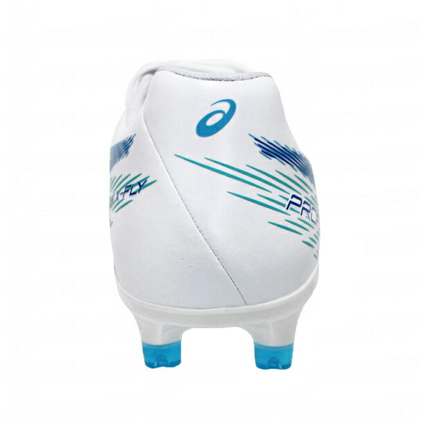 楽天市場】【3/4 20時からポイント10倍】DSライト X-FLY PRO 2