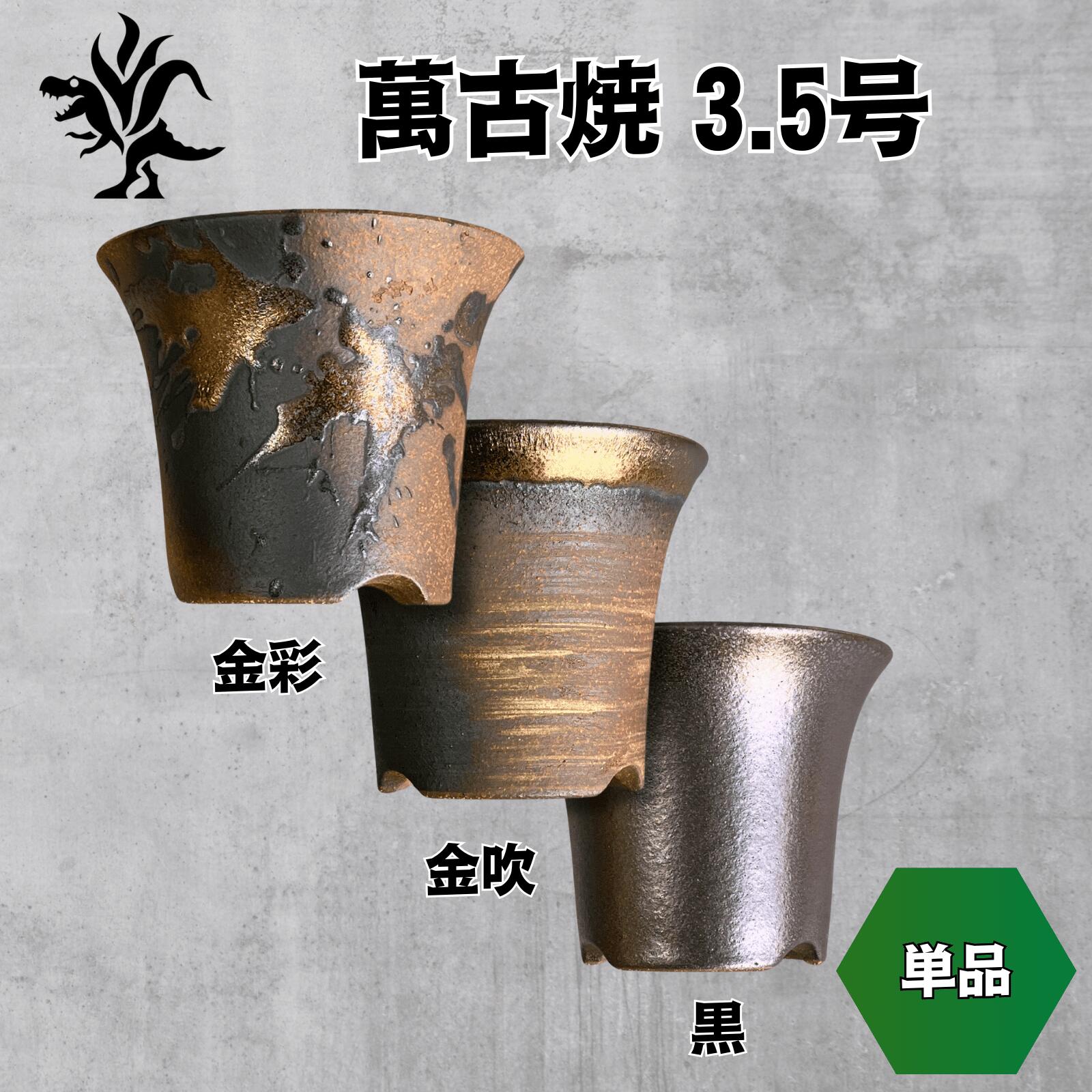 楽天市場】Kaiju Plant 萬古焼 3.5号 陶器鉢 ラッパ アガベ 多肉 塊根