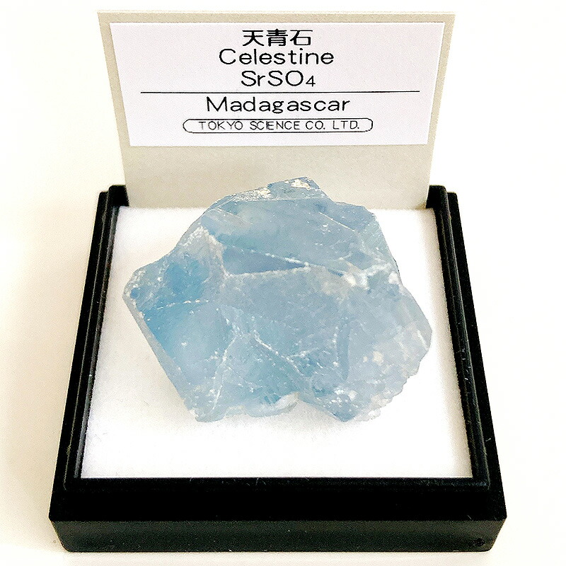 楽天市場】天青石 （マダガスカル） 標本 東京サイエンス ミニ鉱物標本