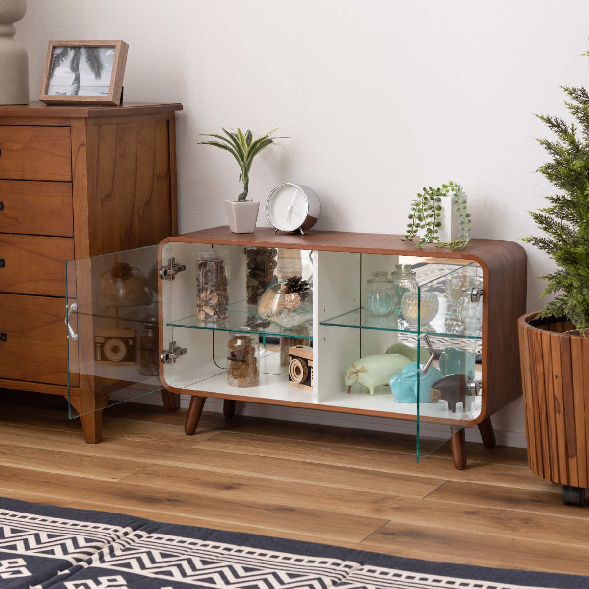 楽天市場】コレクションシェルフ ロータイプ コレクションシェルフ