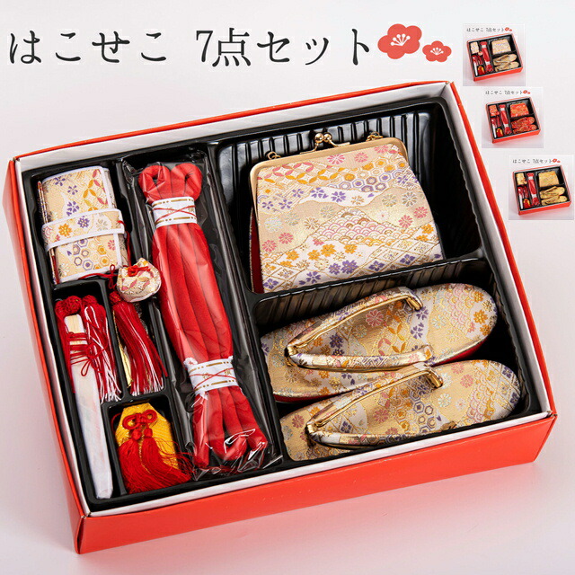 楽天市場】購入派 筥迫セット はこせこセット はこせこ 草履バック