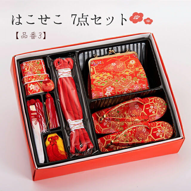 楽天市場】購入派 筥迫セット はこせこセット はこせこ 草履バック