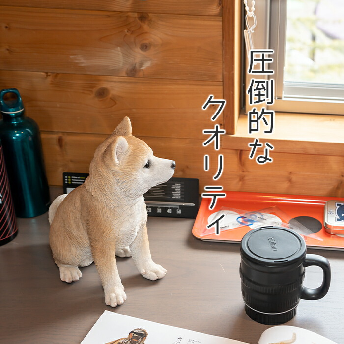 楽天市場】【スーパーセール 最大10%OFF 】ちょこんと座るわんこ