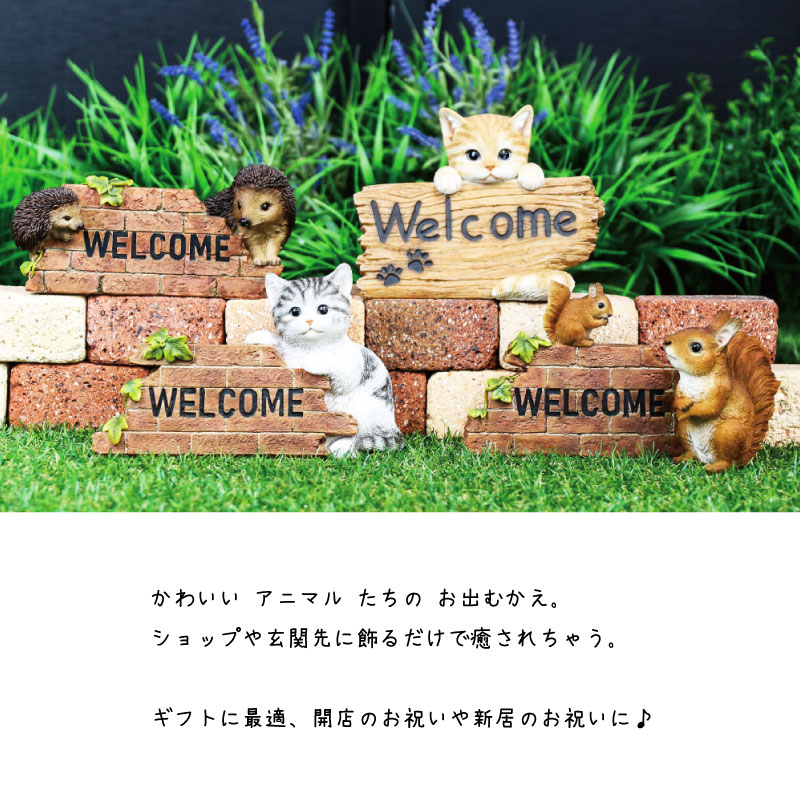 楽天市場】置物 ネコ ウェルカム ボード : Gracious