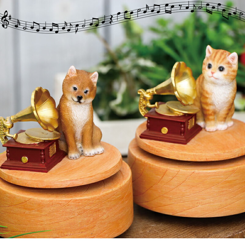楽天市場】猫 犬 オルゴール クラッシック シューベルト子守歌 : Gracious