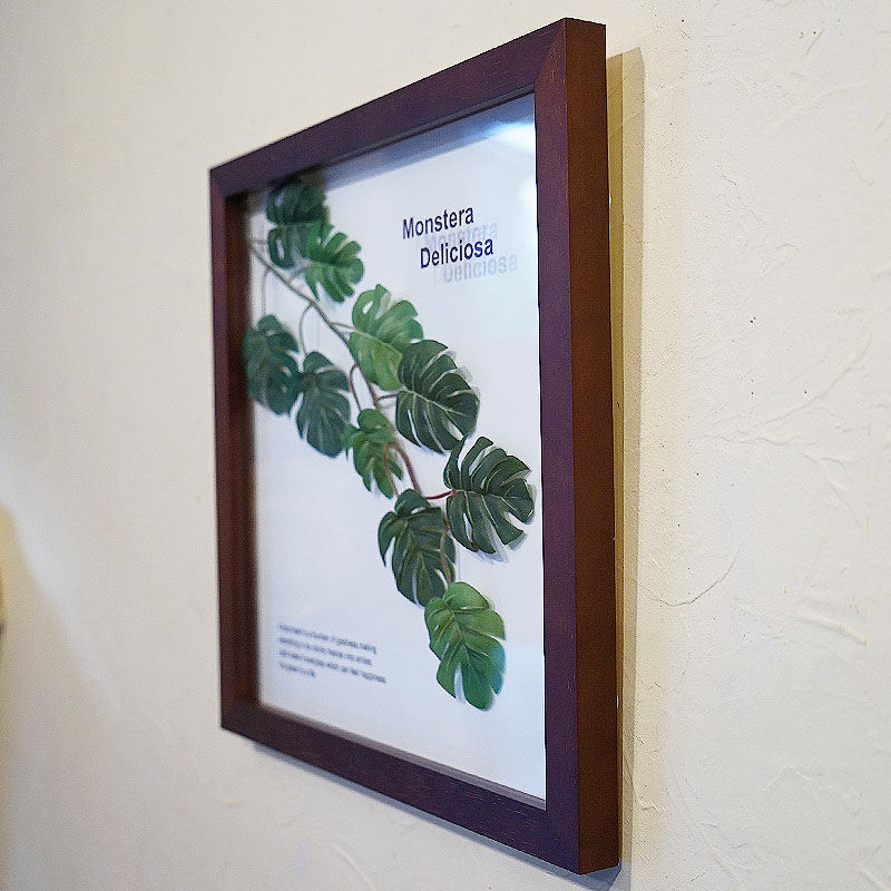 楽天市場】リーフパネル モンステラ3 額 MONSUTERA ブラウン フェイク