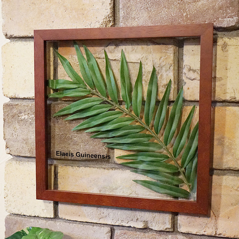 楽天市場】リーフパネル アブラヤシ 葉 フレーム 額 ブラウン フェイク