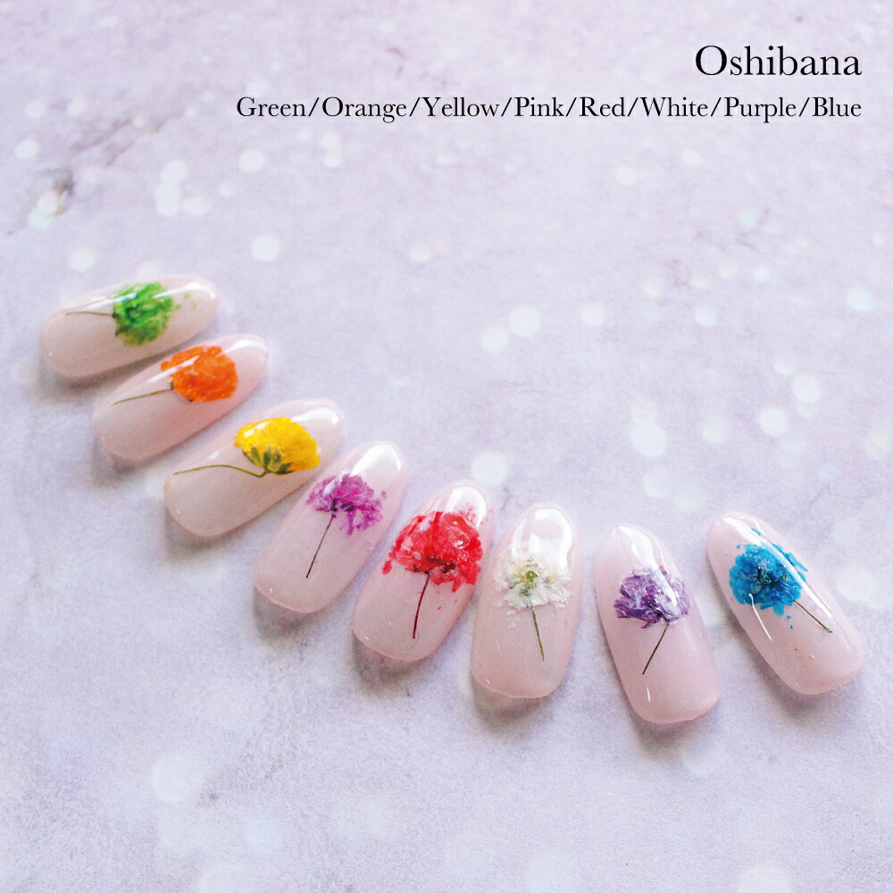 楽天市場】KiraNail 押し花 10枚入り ☆ ネイルパーツ ジェルネイル