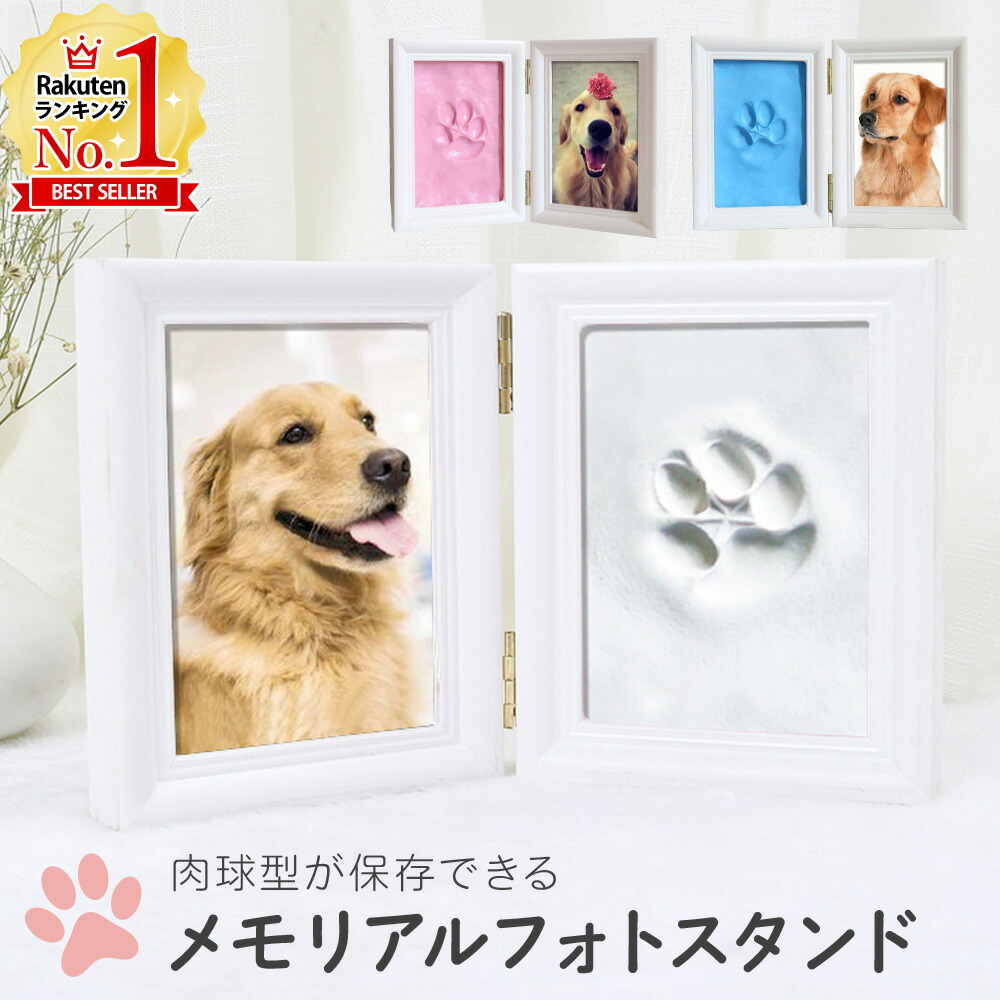 楽天市場】【LINE登録で200円OFFクーポン 先着・利用条件あり】 肉球