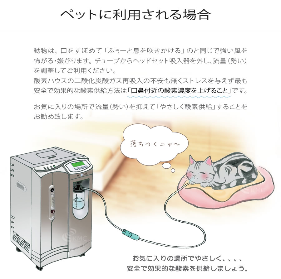 楽天市場】エムワンオーツーブイ5L【酸素】【酸素吸入】【高濃度酸素