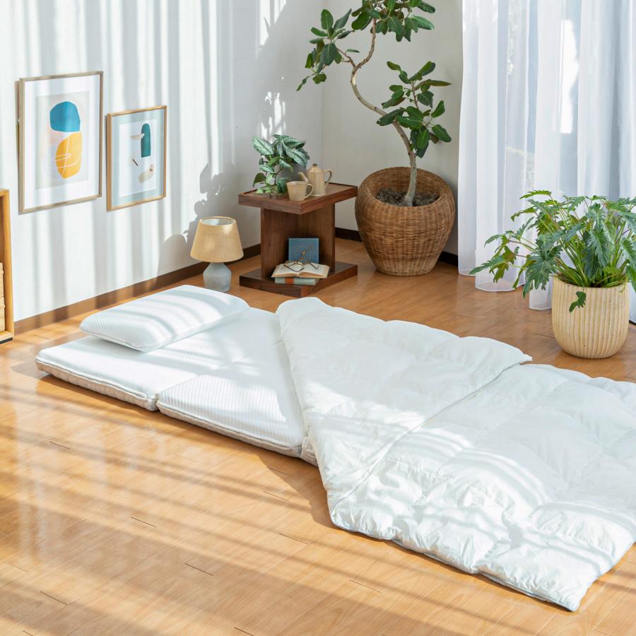 楽天市場】【4日20:00から11日1:59まで20%OFFクーポン】コアラフトン