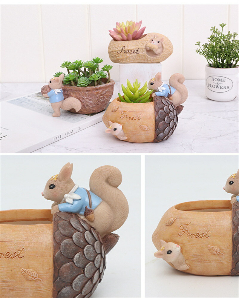 楽天市場】植木鉢 多肉植物 ミニ 可愛い 寄せ植え 鉢 樹脂 おしゃれ