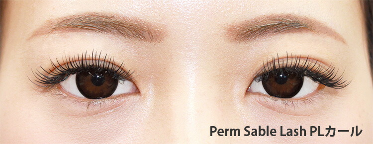 楽天市場】まつげエクステ パーマセーブルラッシュ12列 PLカール 0.12