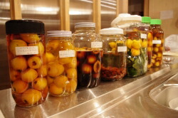 楽天市場】「ビワ*エキス単品 お得用 500ml」湿疹や冷えとり、ガンに