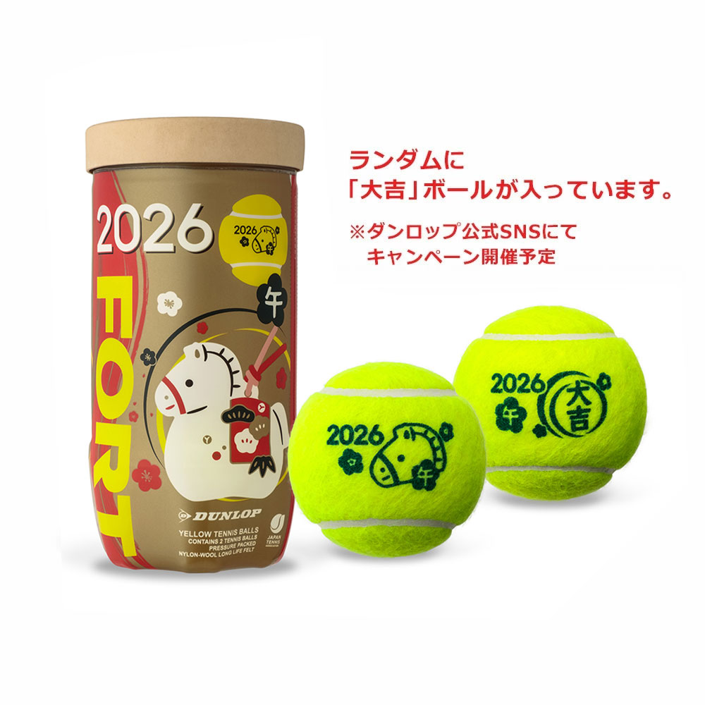 楽天市場】【全品10％OFFクーポン】ダンロップ DUNLOP テニステニス