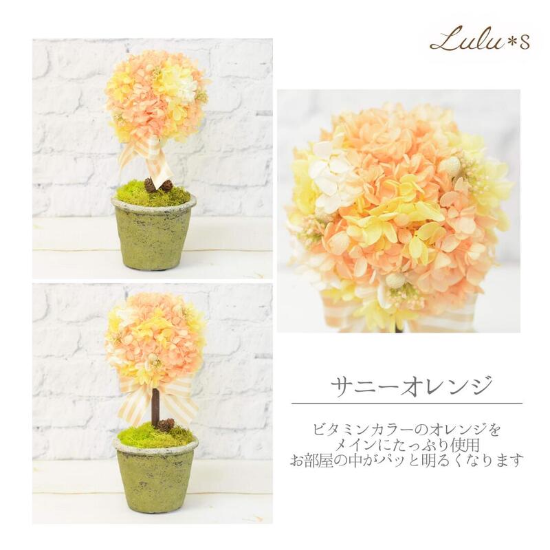 楽天市場】トピアリー 選べる2color プリザーブドフラワー ドライ