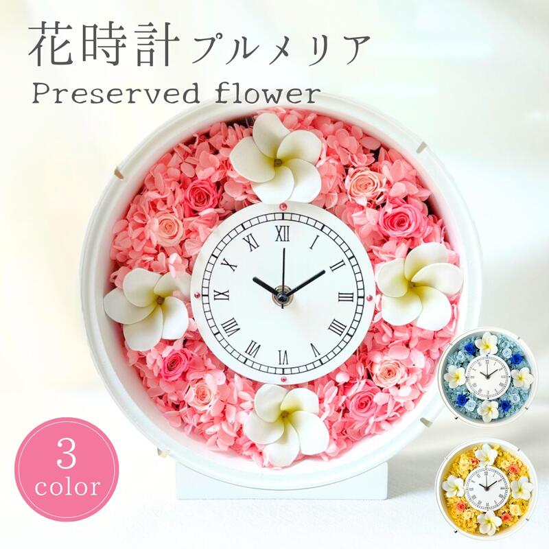 楽天市場】プリザーブドフラワー プルメリア サークル 花 時計 壁掛け
