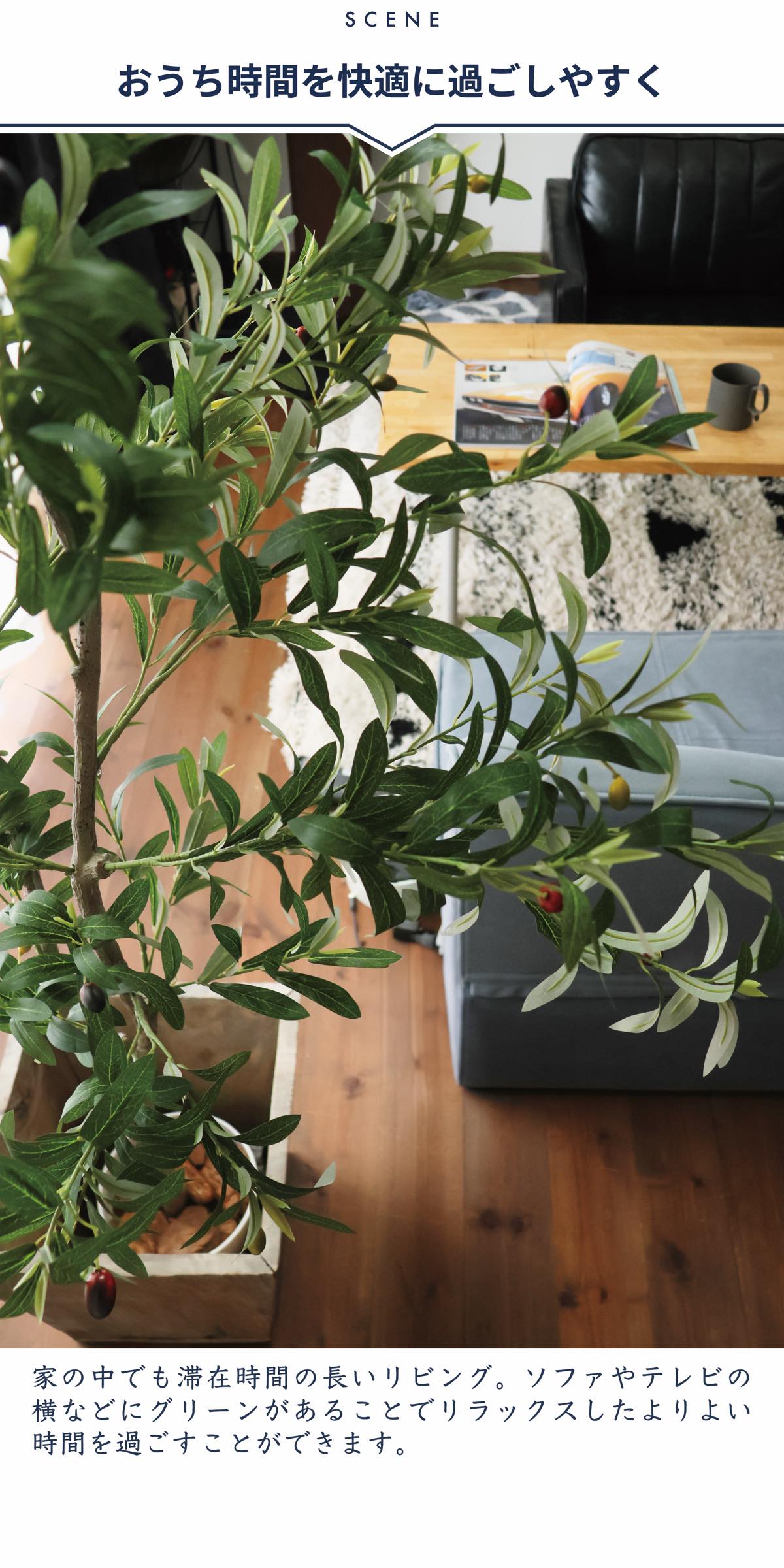 楽天市場】最大ポイント100%還元 クーポン レビュー特典 フェイク