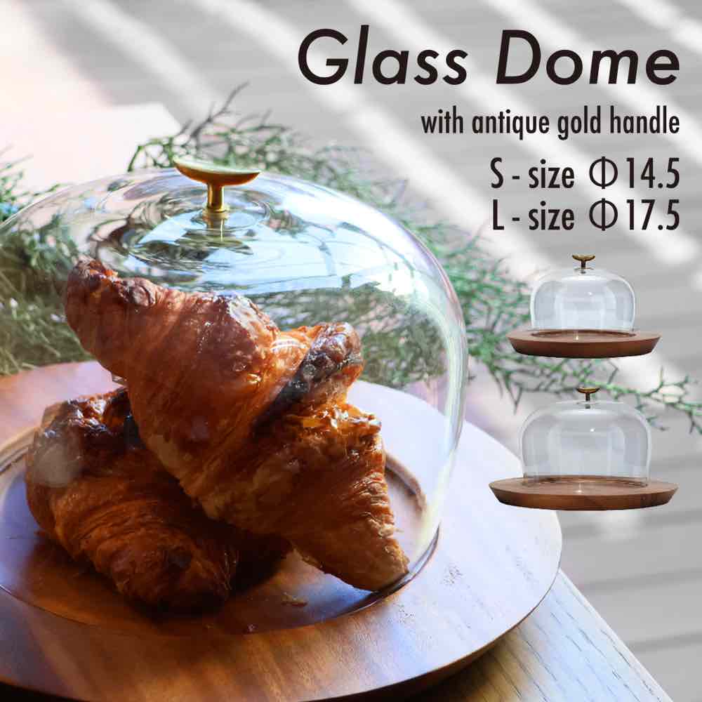 楽天市場】最大ポイント100%還元 クーポン レビュー特典 ガラスドーム