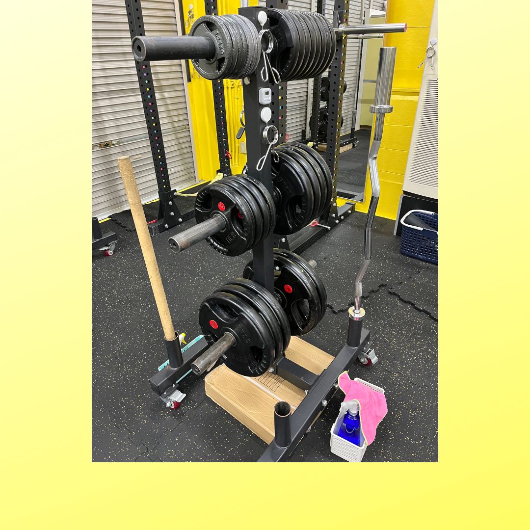 楽天市場】業務用プレートラック キャスター付き : 筋トレ倶楽部LBGYM