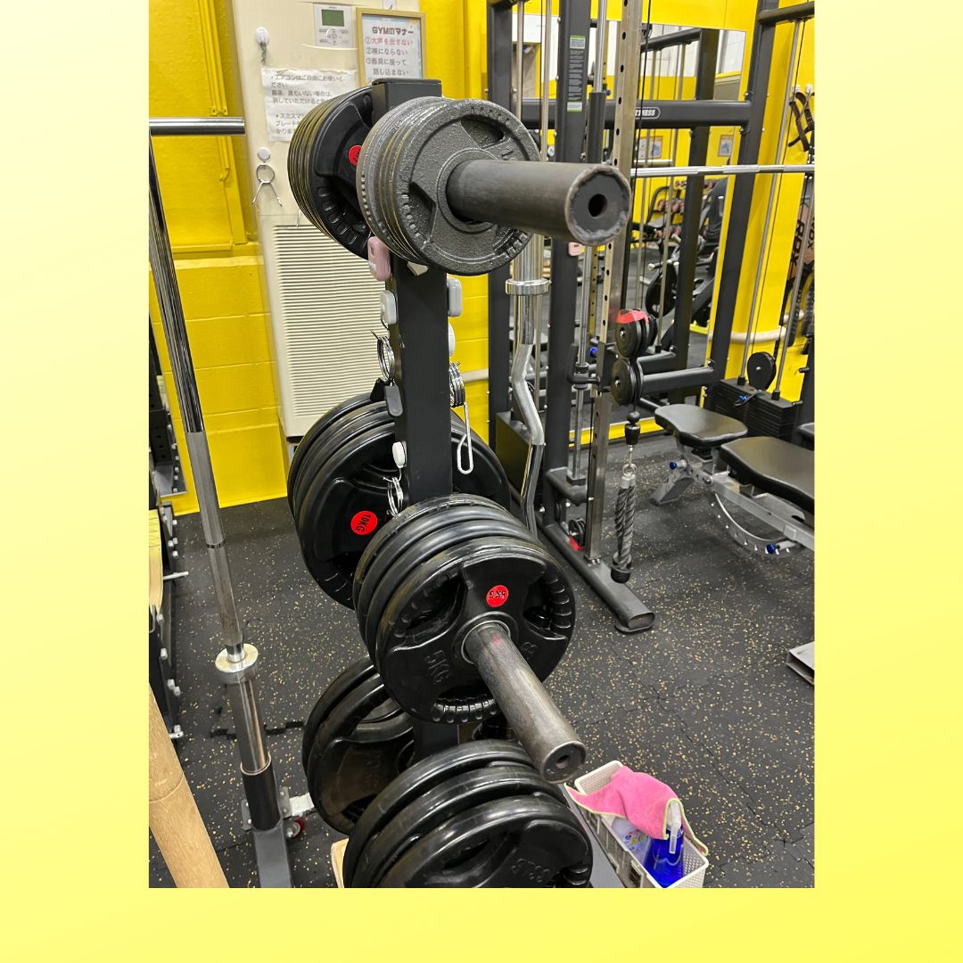 楽天市場】業務用プレートラック キャスター付き : 筋トレ倶楽部LBGYM