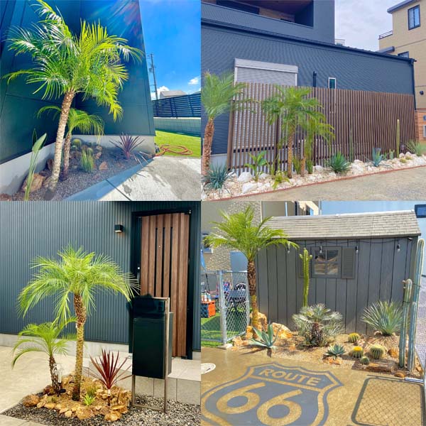 楽天市場】2025年販売1000本突破!! ロベヤシ フェニックス・ロベレニー