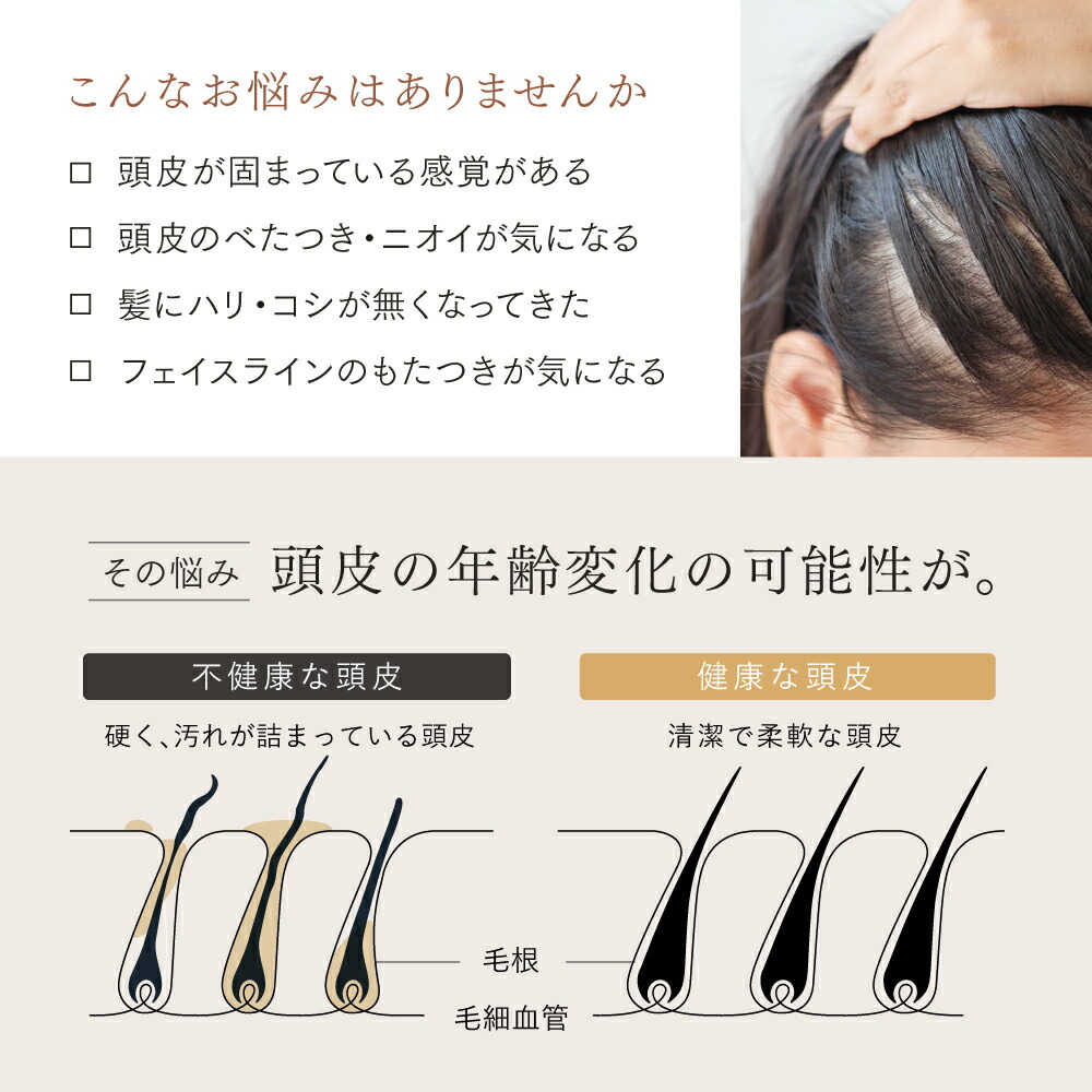 楽天市場】【公式｜スーパーSALE 2,000円OFFクーポン+P10倍！】【30