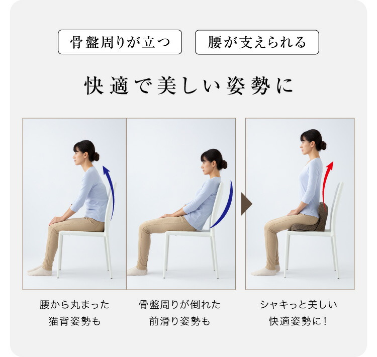 楽天市場】【今だけ限定クーポンも！】【送料無料】馬具マット