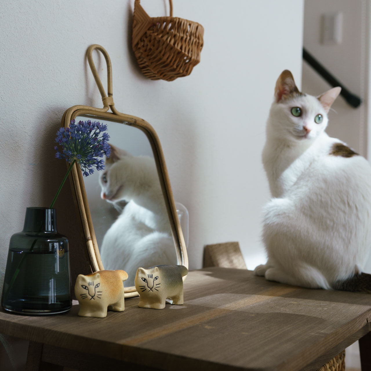 楽天市場】【個体で選べる】 プレゼントボックス入り 正規品 ふたごの