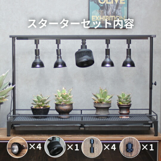 楽天市場】植物棚スターターセット 水受けトレー付1段植物棚 mini植物