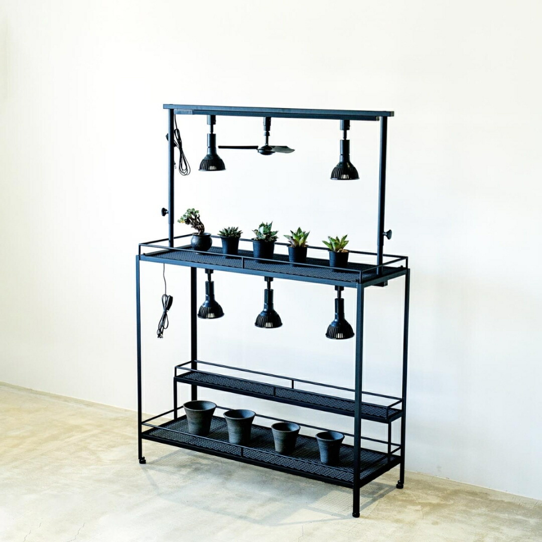 楽天市場】フルオーダー植物棚 アガベラック 塊根ラック 育成 育成