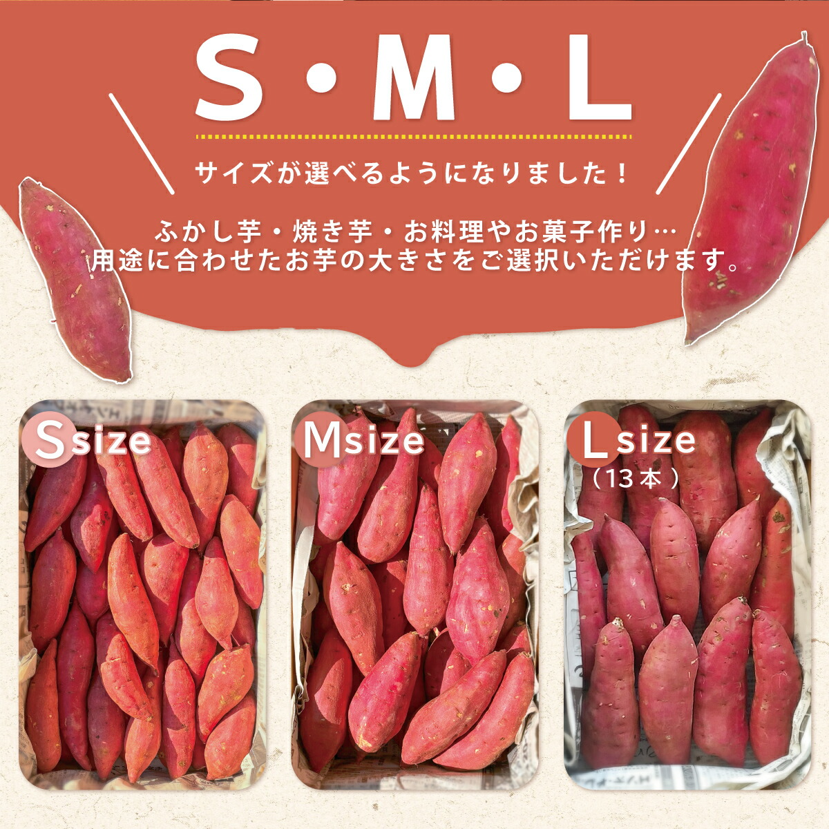 楽天市場】茨城県産 紅はるか さつまいも 5kg サツマイモ ねっとり