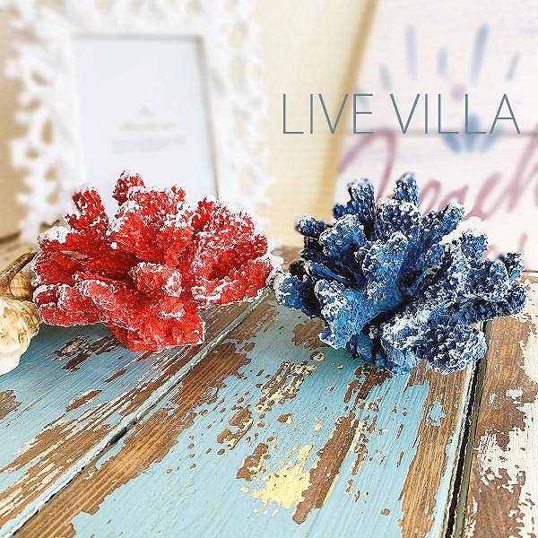 楽天市場】オブジェ インテリア サンゴ 珊瑚 さんご コーラル レッド