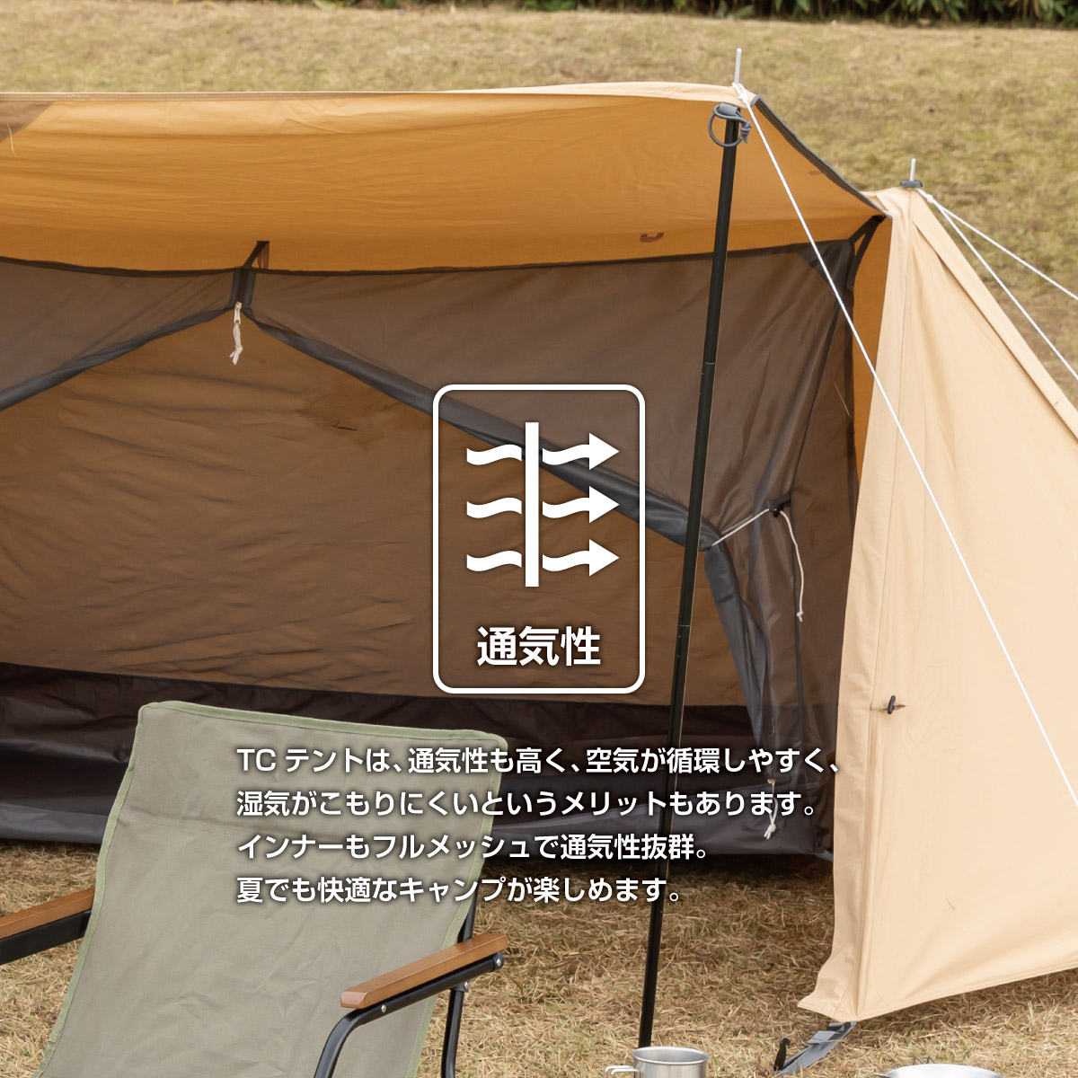 楽天市場】【在庫処分】【訳あり】【特価品】【送料無料】ソロベース