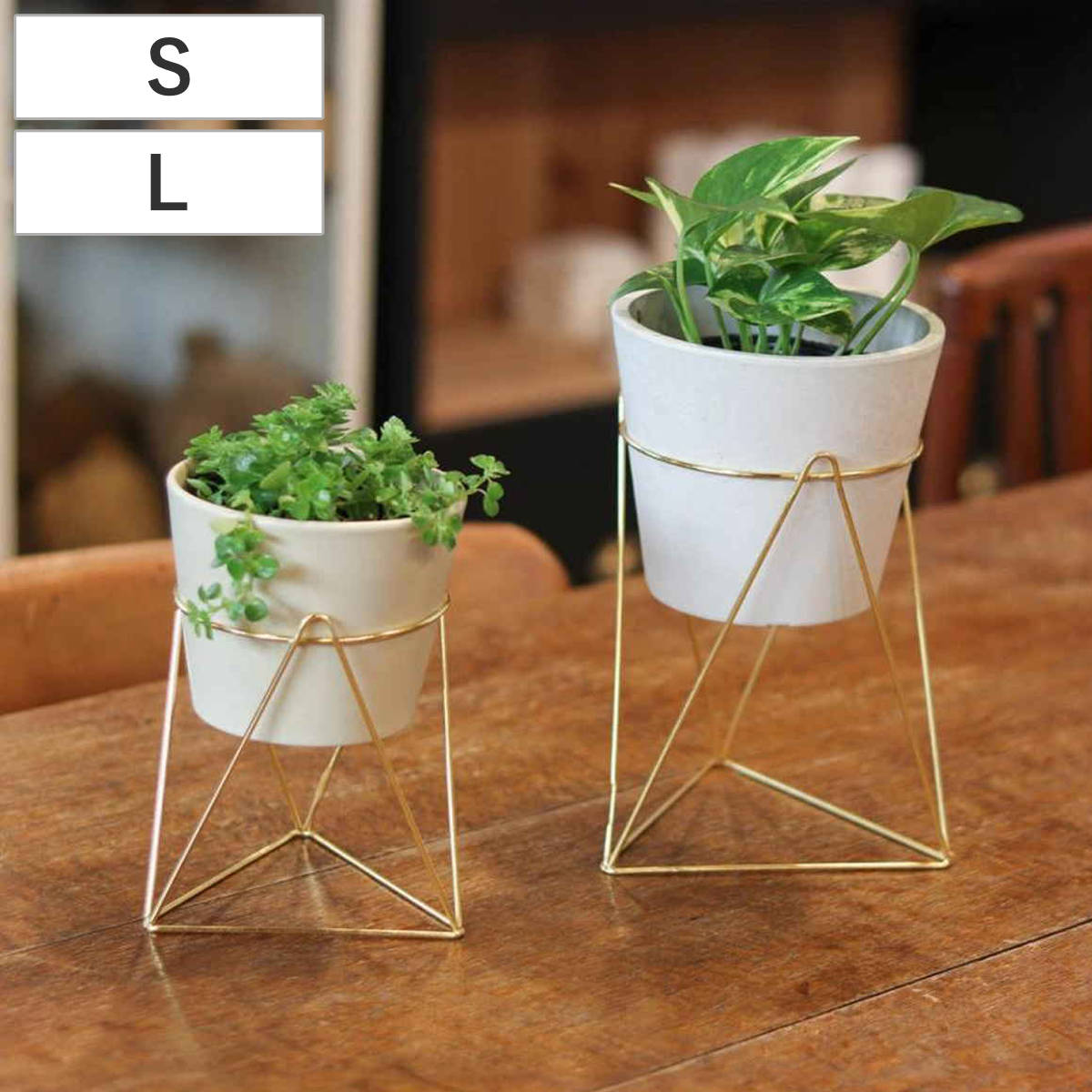 楽天市場】フラワースタンド インブルーム ラインポットスタンド S L