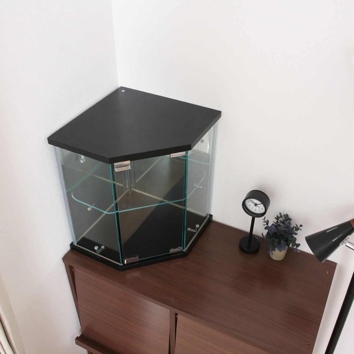 楽天市場】コレクションケース ガラス コーナー型 五角形 背面ミラー