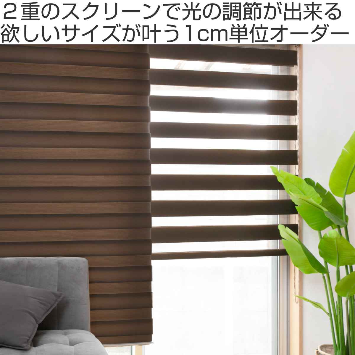 楽天市場】ロールスクリーン オーダー センシア 幅44〜60×高さ216